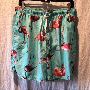 Mens City Streets turquoise and flamingo pattern lined swim trunks size L